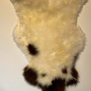 Fell vom Jakobschaf
