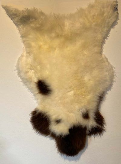 Fell vom Jakobschaf
