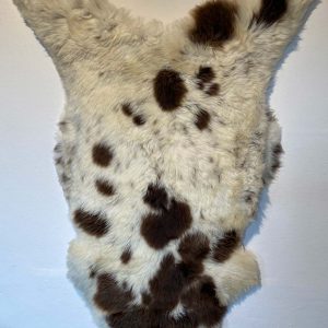 Fell vom Jakobschaf