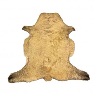 Fell vom Ostfrieslandschaf