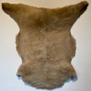 Fell vom Ostfrieslandschaf