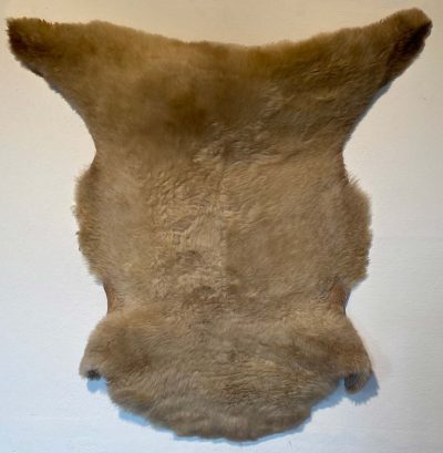 Fell vom Ostfrieslandschaf