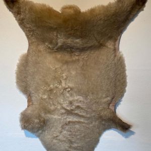 Fell vom Ostfrieslandschaf