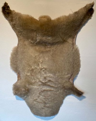 Fell vom Ostfrieslandschaf