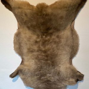 Fell vom Ostfrieslandschaf