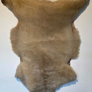 Fell vom Ostfrieslandschaf