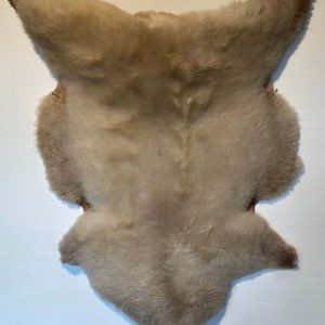 Fell vom Ostfrieslandschaf