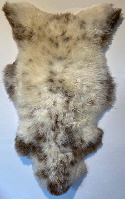 Fell vom Merinoschaf