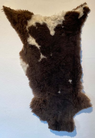 Fell vom Jakobschaf