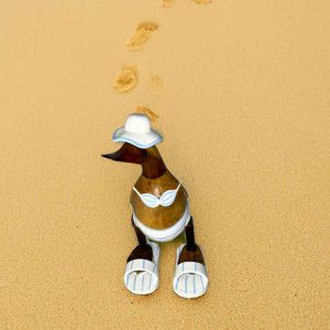 Strandente im Bikini