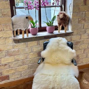 Fell vom Marinoschaf