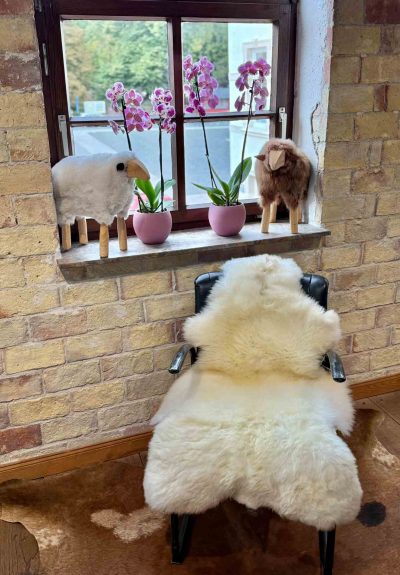 Fell vom Marinoschaf