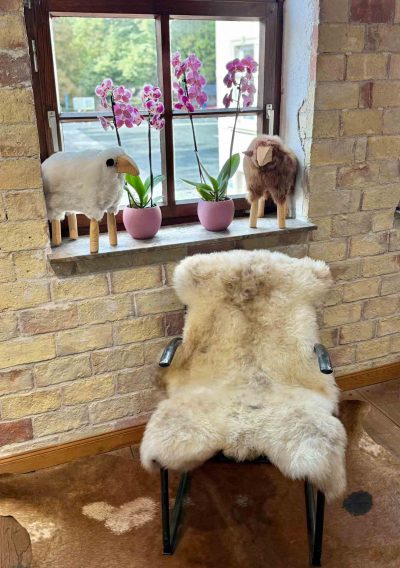 Fell vom Merinoschaf – Bild 2