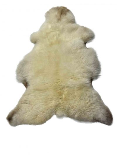 Fell vom Marinoschaf – Bild 2