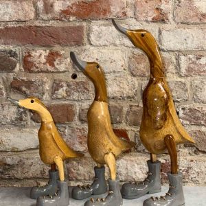 Ente graue Schuhe