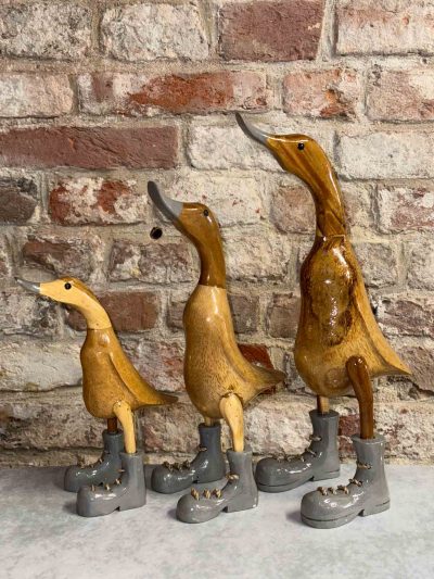 Ente graue Schuhe