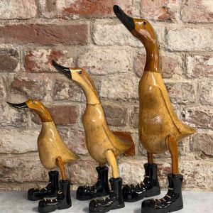 Ente schwarze Schuhe