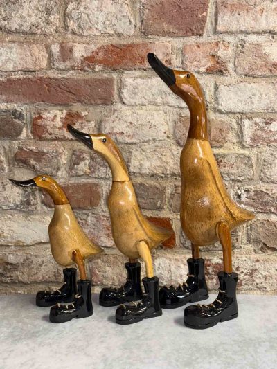 Ente schwarze Schuhe
