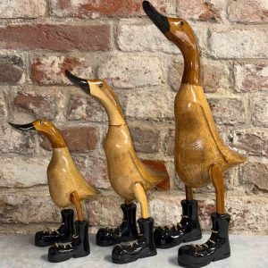 Ente schwarze Schuhe