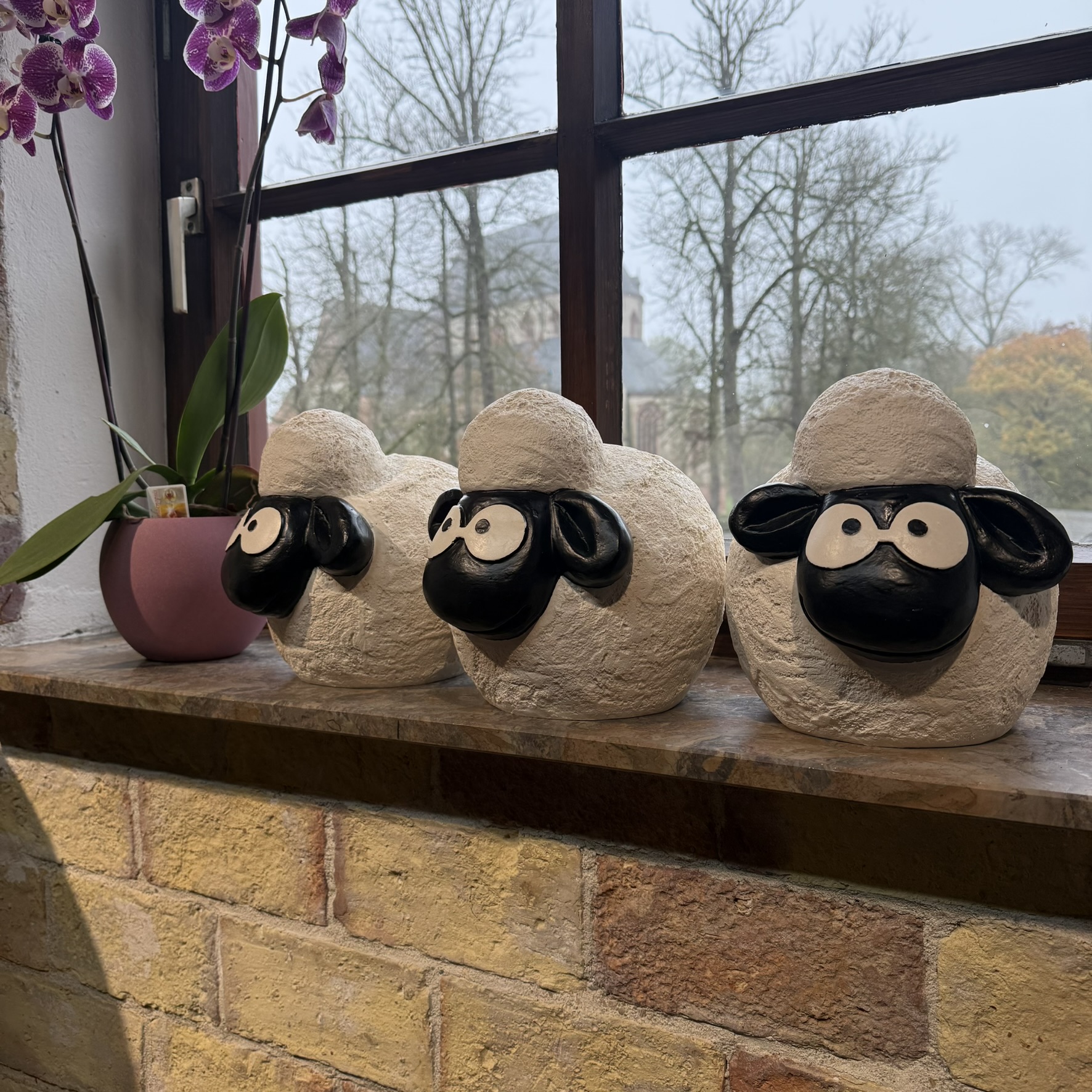 Greta das Deichschaf