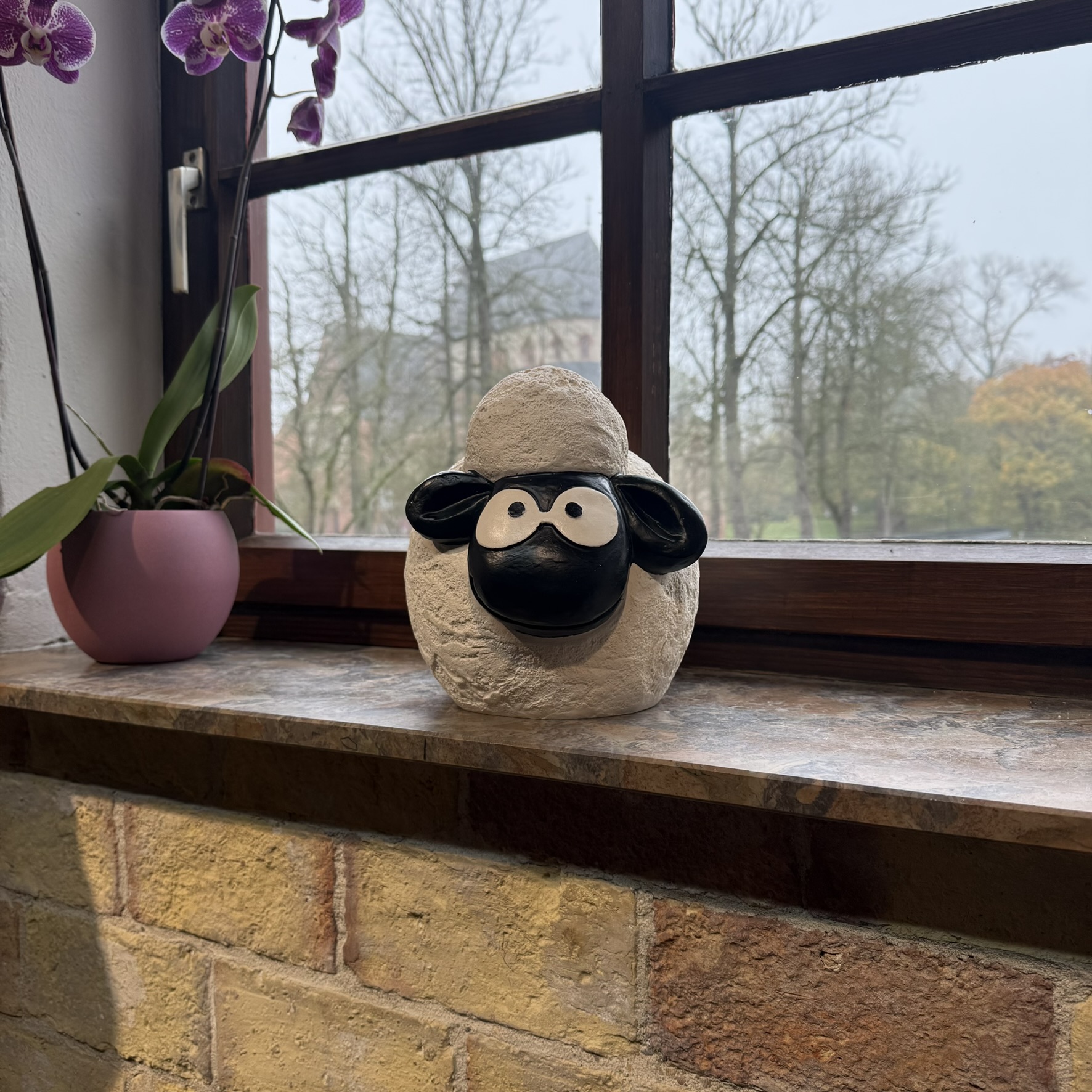 Greta das Deichschaf – Bild 2