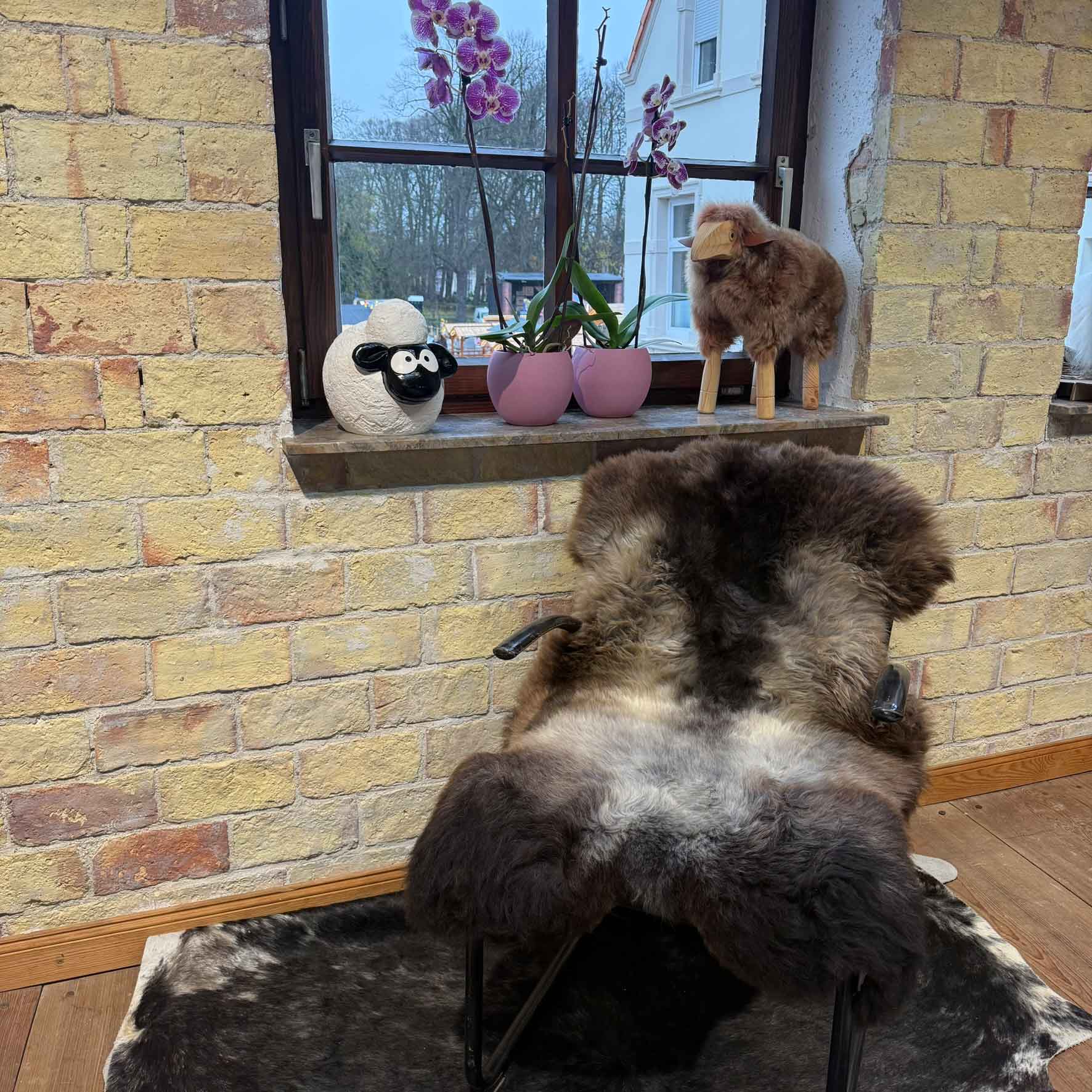 Fell vom Merinoschaf