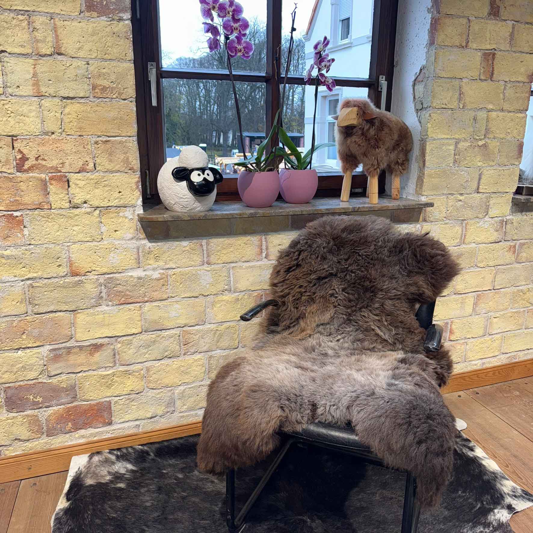 Fell vom Merinoschaf