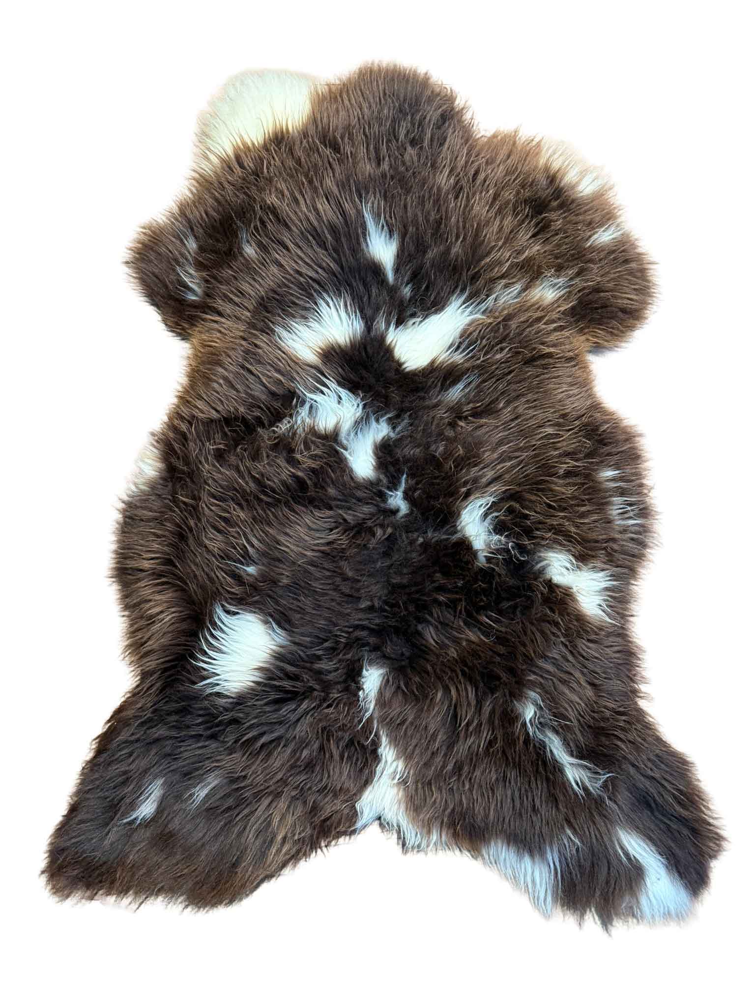 Fell vom Jakobschaf – Bild 2