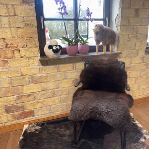 Fell vom Merinoschaf