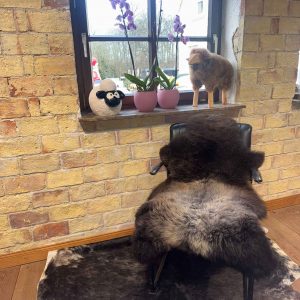 Fell vom Merinoschaf