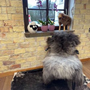 Multi Color Schaffell