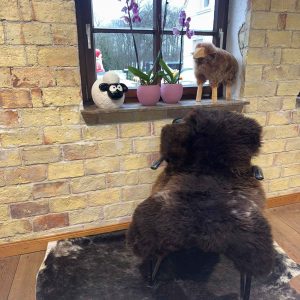 Multi Color Schaffell