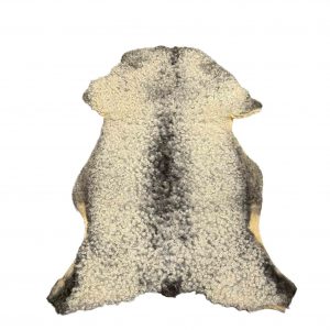 Fell vom Gotlandschaf