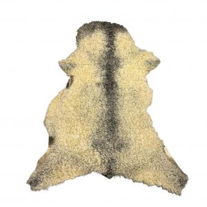 Fell vom Gotlandschaf