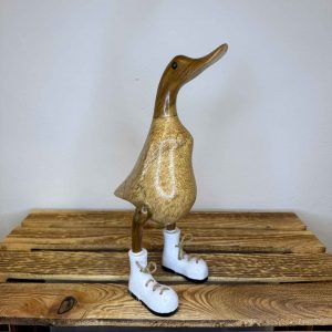 Ente natur weiß
