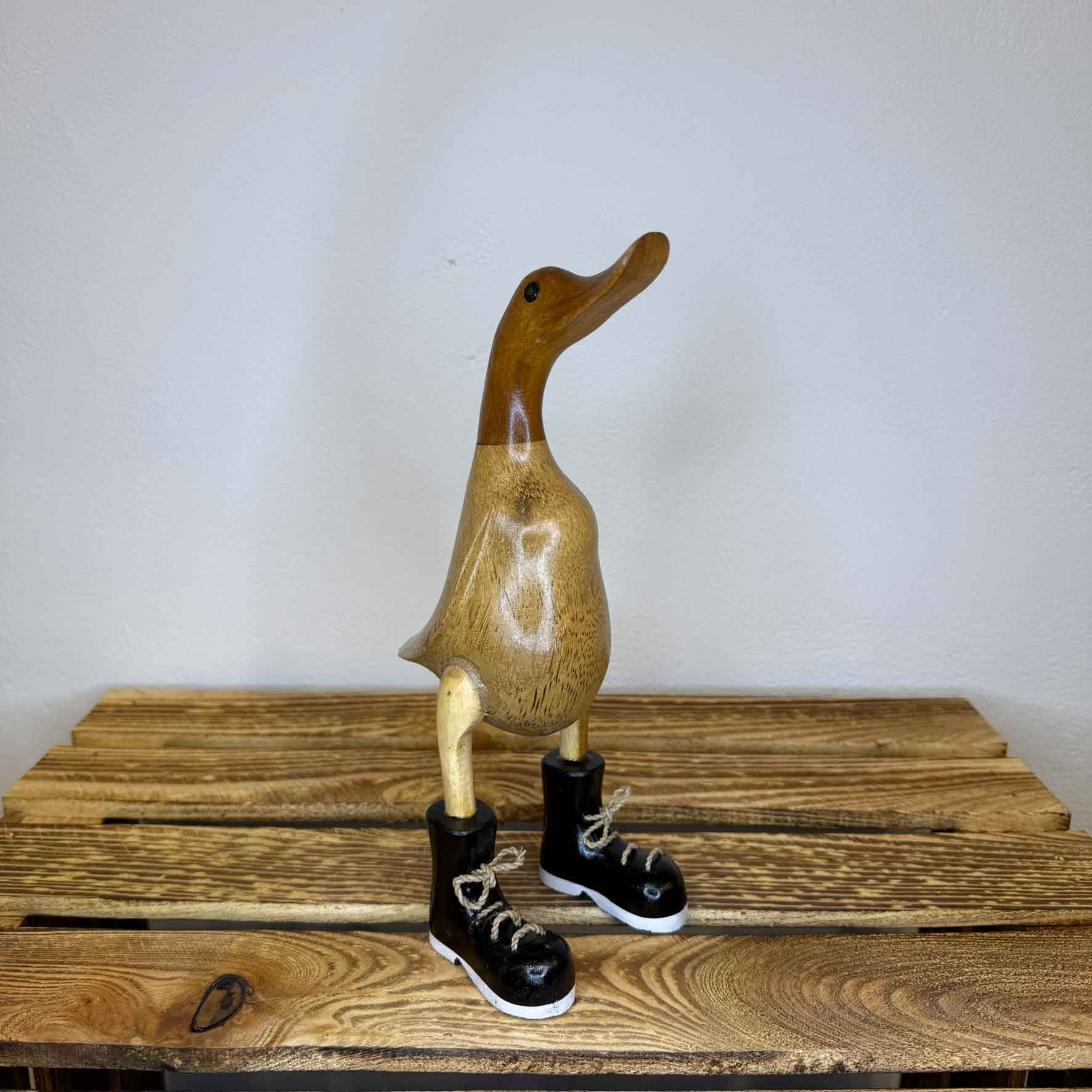 Ente natur schwarz